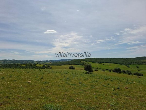 terreno agricolo in vendita a Manciano in zona Marsiliana