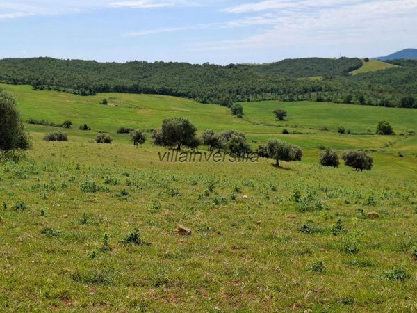 terreno agricolo in vendita a Manciano in zona Marsiliana