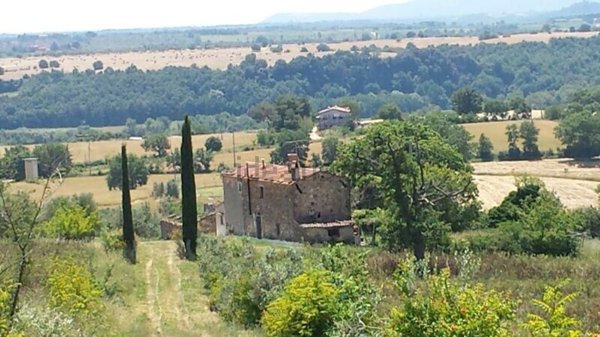 casale in vendita a Manciano in zona San Martino sul Fiora