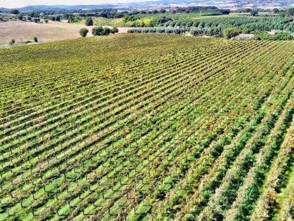 appartamento in vendita a Manciano in zona Montemerano