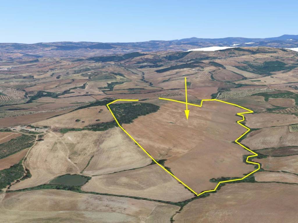 terreno agricolo in vendita a Manciano