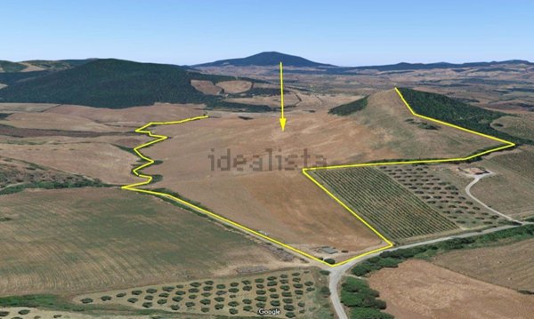 terreno agricolo in vendita a Manciano