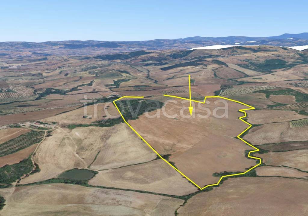 terreno agricolo in vendita a Manciano