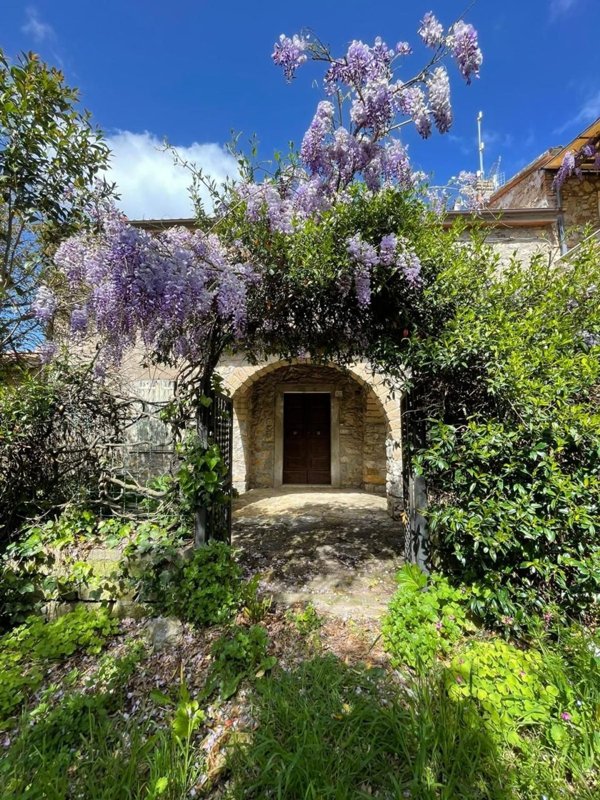 casa indipendente in vendita a Manciano in zona Montemerano