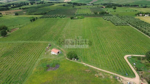 casale in vendita a Manciano in zona Saturnia