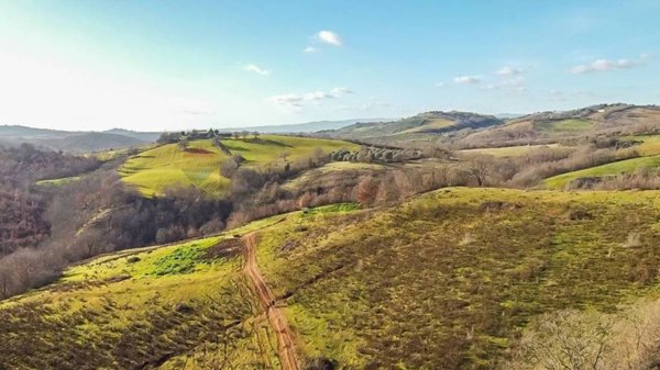 casa indipendente in vendita a Manciano in zona Poggio Murella