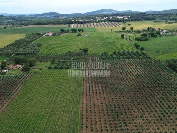 casa indipendente in vendita a Manciano in zona Saturnia