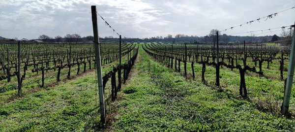 casa indipendente in vendita a Manciano in zona Saturnia