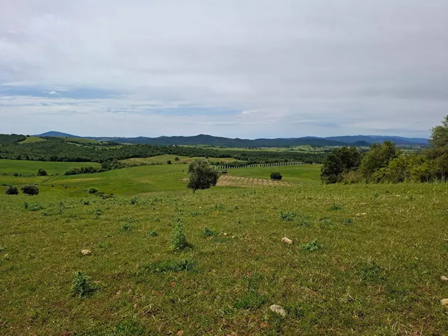 terreno agricolo in vendita a Manciano in zona Marsiliana
