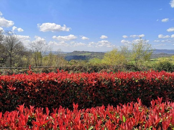 appartamento in vendita a Manciano in zona Saturnia