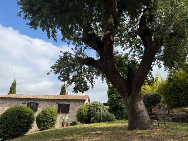 appartamento in vendita a Manciano in zona Montemerano