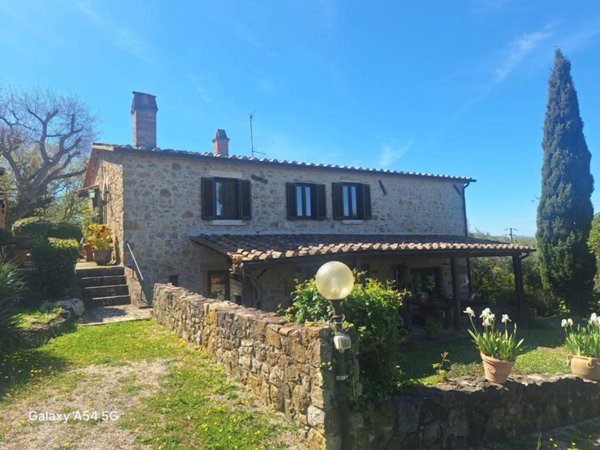 casa indipendente in vendita a Manciano in zona Montemerano