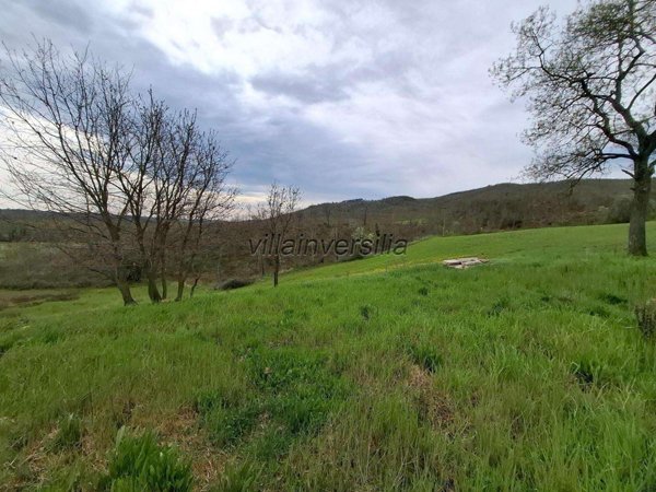 azienda agricola in vendita a Manciano