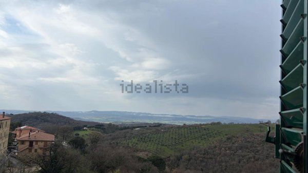 appartamento in vendita a Manciano