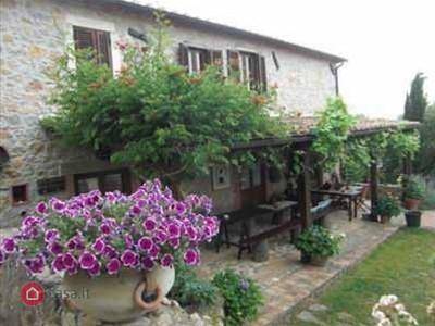 casa indipendente in vendita a Manciano in zona Montemerano