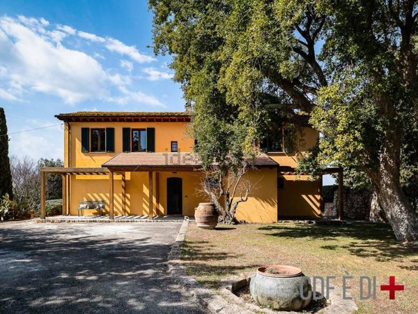 esavano in vendita a Manciano in zona Marsiliana