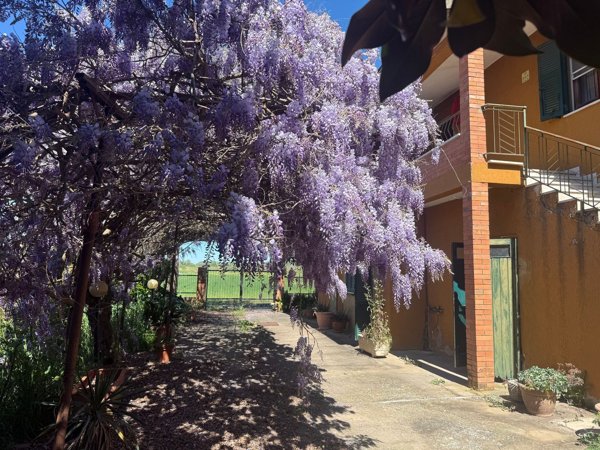casa indipendente in vendita a Manciano in zona Saturnia