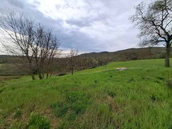 azienda agricola in vendita a Manciano in zona Saturnia