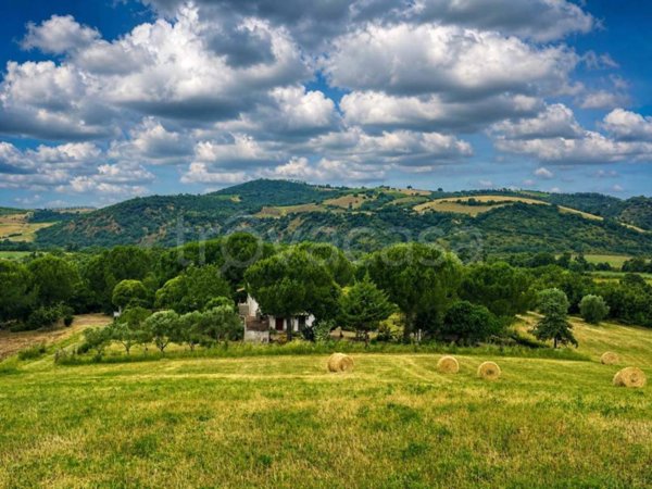 casa indipendente in vendita a Manciano in zona Montemerano