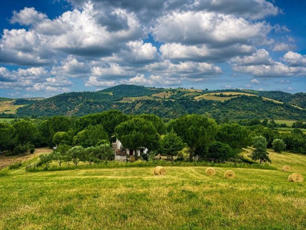 casale in vendita a Manciano