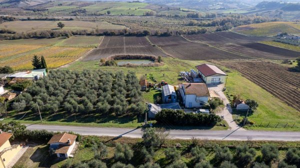 azienda agricola in vendita a Manciano