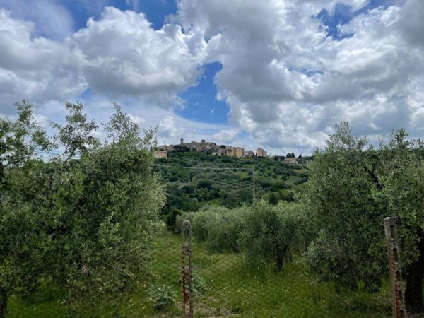 terreno agricolo in vendita a Manciano in zona Montemerano