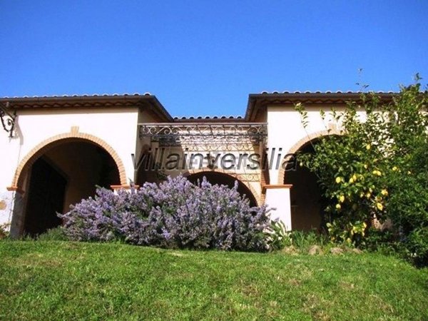 casa indipendente in vendita a Manciano in zona Poggio Murella