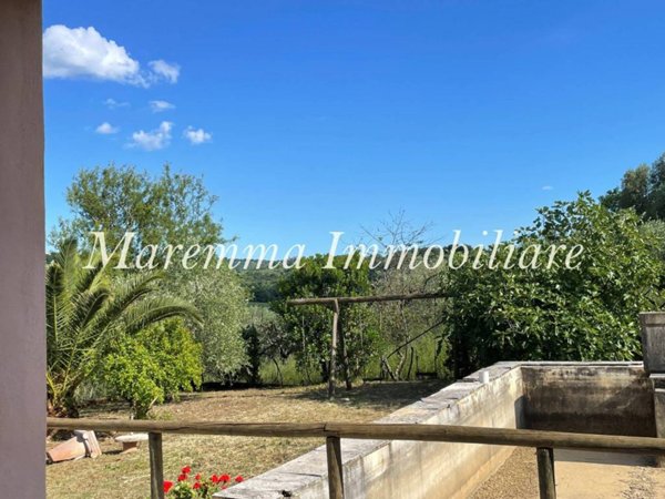 terreno agricolo in vendita a Manciano in zona Montemerano