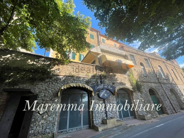 appartamento in vendita a Manciano