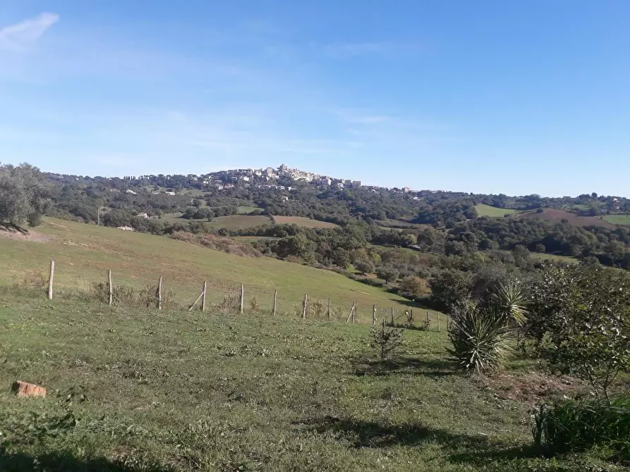 casale in vendita a Manciano in zona Poggio Murella