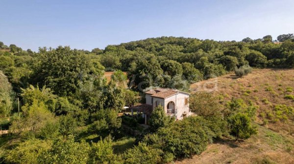 casa indipendente in vendita a Manciano in zona Montemerano