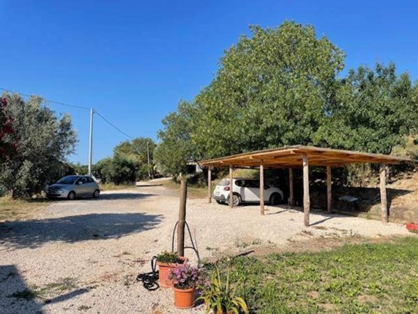 azienda agricola in vendita a Manciano