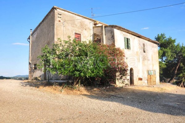 immagine annuncio 0 di 15