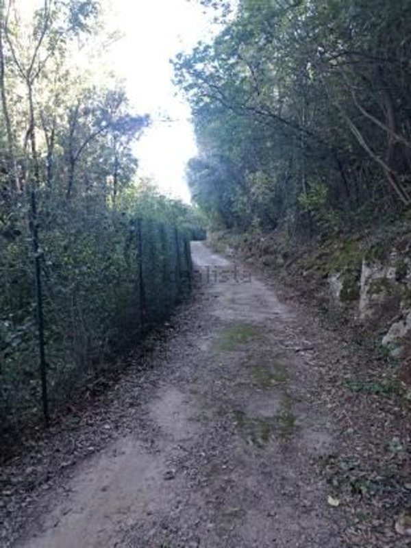 terreno agricolo in vendita a Manciano in zona Poggio Murella