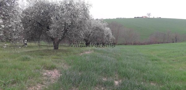 appartamento in vendita a Manciano
