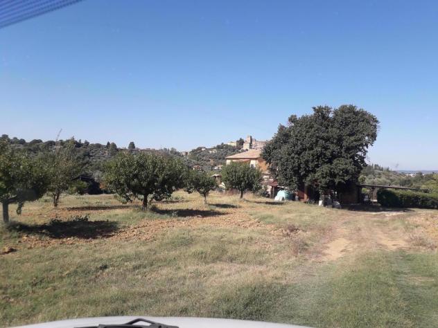 appartamento in vendita a Manciano