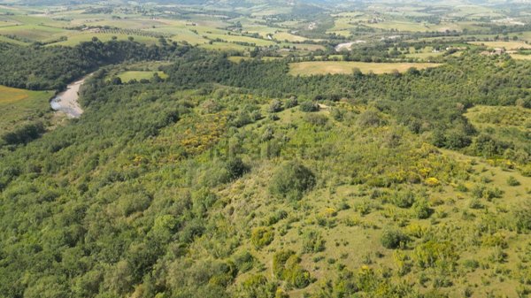 azienda agricola in vendita a Manciano in zona Montemerano