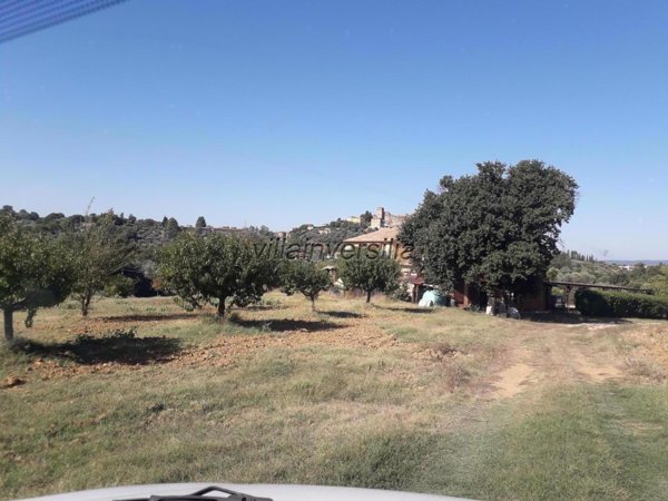 appartamento in vendita a Manciano