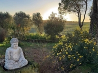 casa indipendente in vendita a Manciano in zona Saturnia