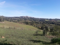 casale in vendita a Manciano