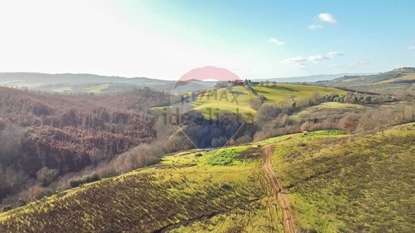 terreno in vendita a Manciano