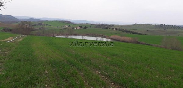 appartamento in vendita a Manciano