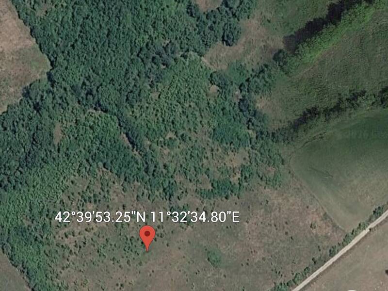 terreno in vendita a Manciano