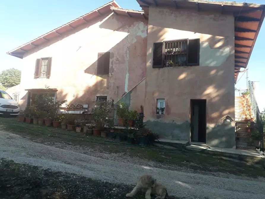 casale in vendita a Manciano