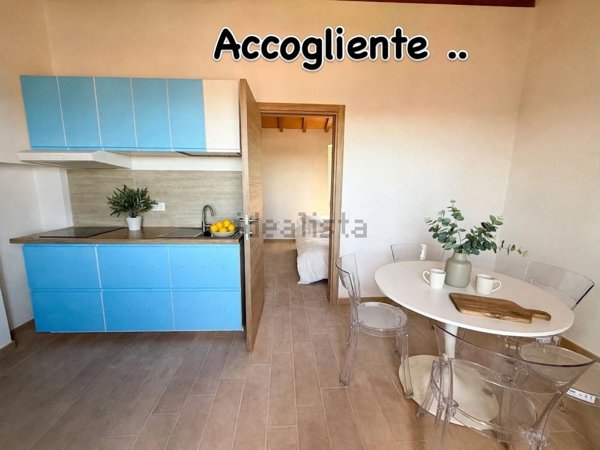 appartamento in vendita a Manciano
