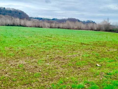 terreno agricolo in vendita a Manciano