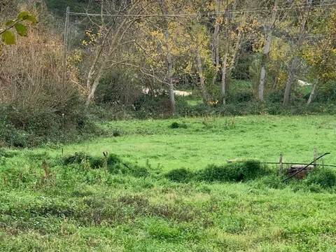 terreno in vendita a Manciano in zona Montemerano