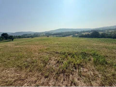 terreno in vendita a Manciano in zona Poggio Murella