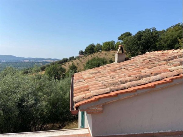 casa indipendente in vendita a Manciano