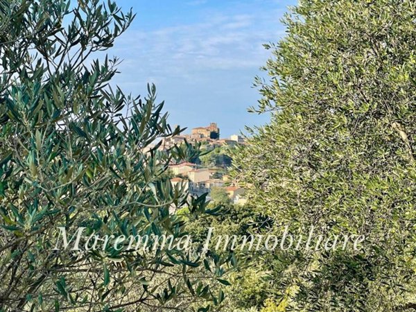 terreno in vendita a Manciano
